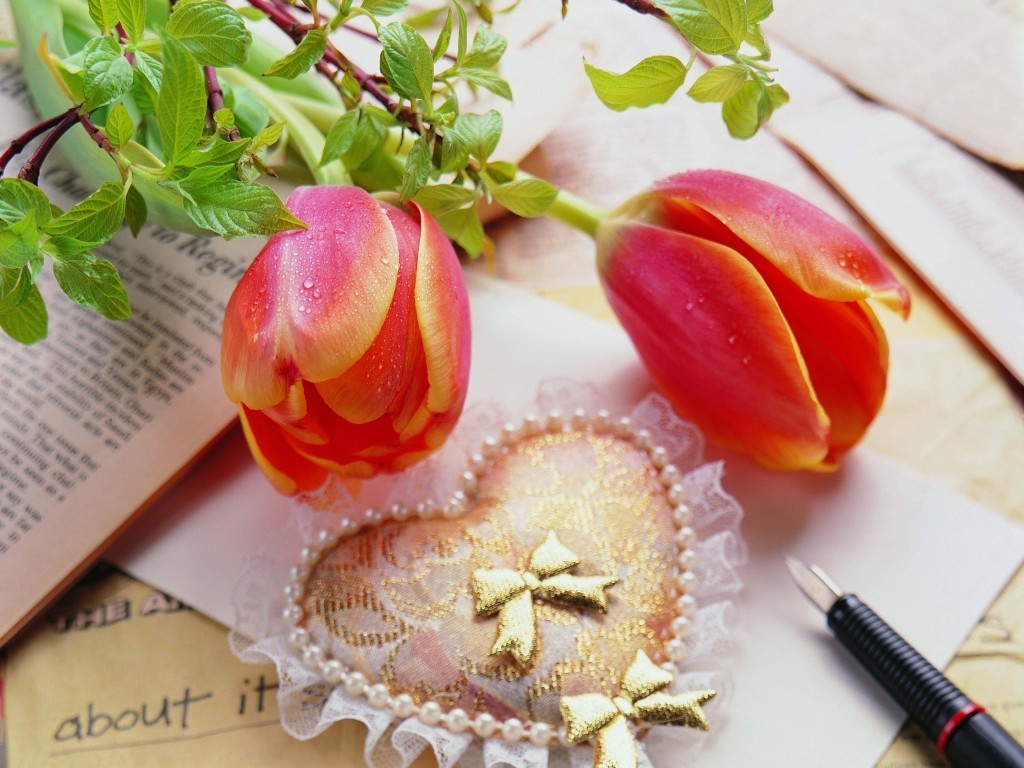 Beautiful Flower Wallpapers For You Gift and Love Flower Wallpaper