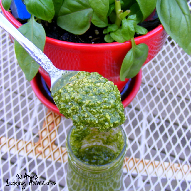 Traditional Basil Pesto