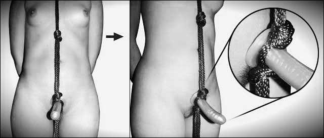 Bondage harness self rope games Archives