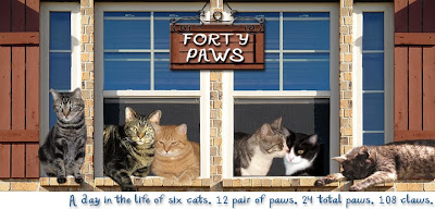 Forty Paws