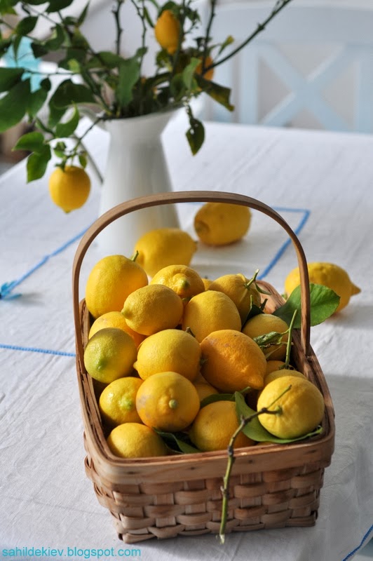 Sahildeki Ev Lemon Season...