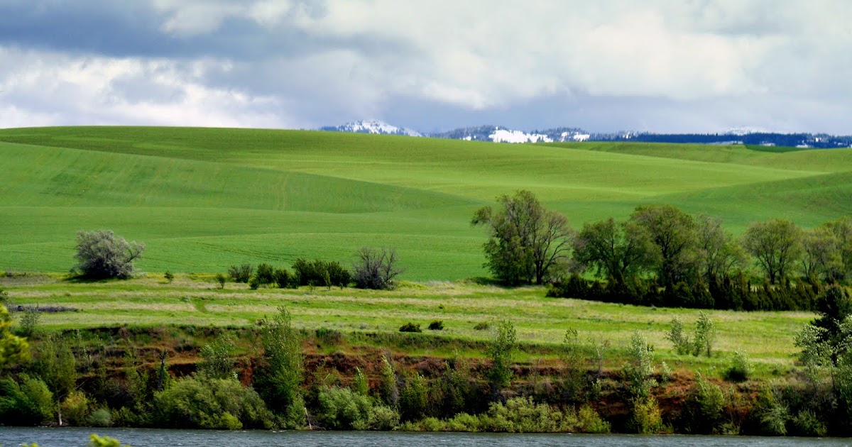 Walla Walla Ponderings Walla Walla Weather Woes