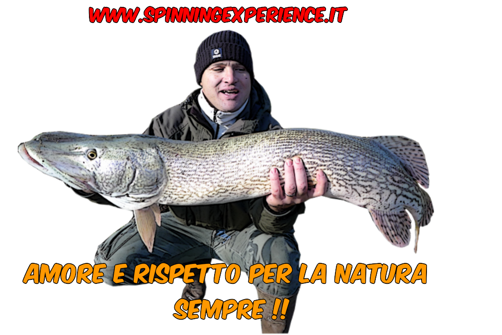 fishing spinning experience