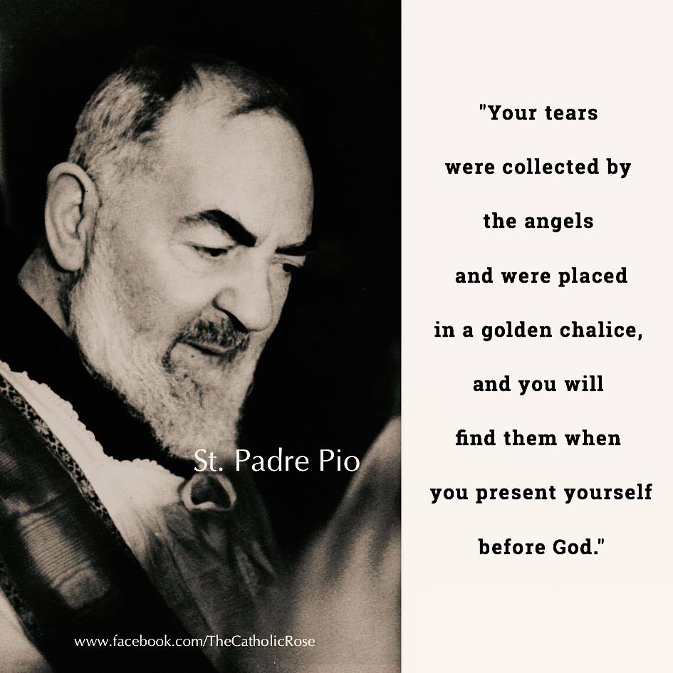 Saint Padre Pio NOS LARMES AU CIEL LACRIMILE NOASTRE IN CER