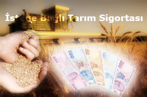 isteğe bağlı tarım sigortası 2013 isteğe bağlı tarım sigortası, isteğe bağlı tarım sigortası 2013, isteğe bağlı tarım sigortası nasıl yapılır, isteğe bağlı tarım sigortası primi, isteğe bağlı tarım sigortası şartları, isteğe bağlı tarım sigortası emeklilik, isteğe bağlı tarım sigortası hizmet dökümü