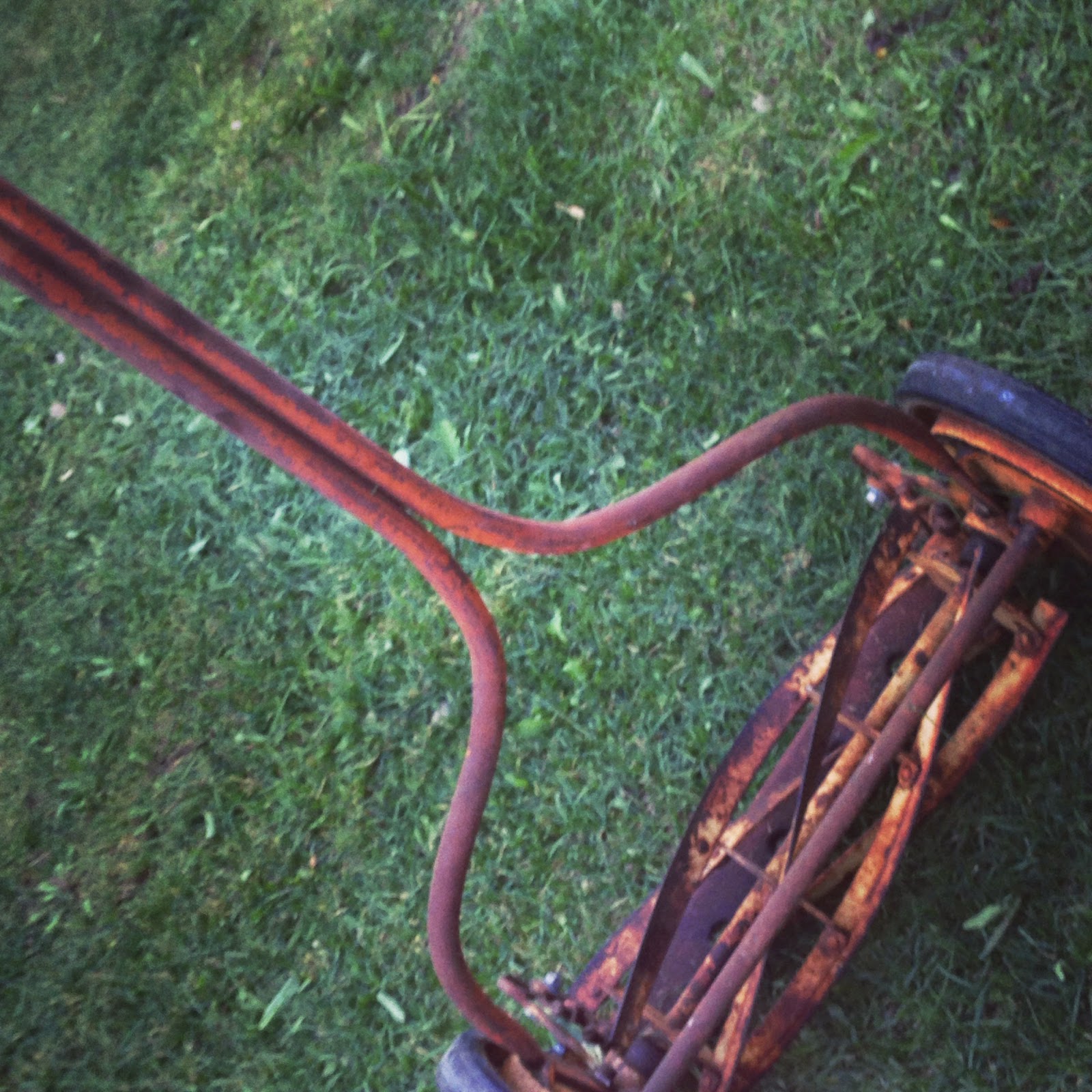 Nichole Gets Green Is a Reel Lawn Mower Right For You