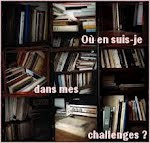 Point sur les challenges