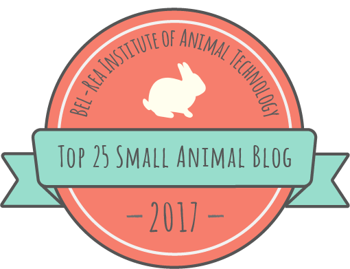 Top 25 Small Animal Blog