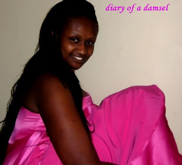 diary of a damsel