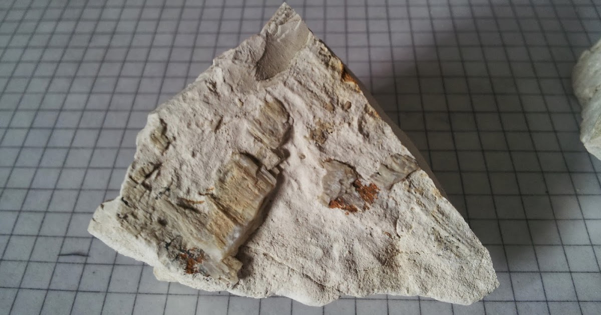 PBGeos Geology Studies Limestone & Calcite in 1!