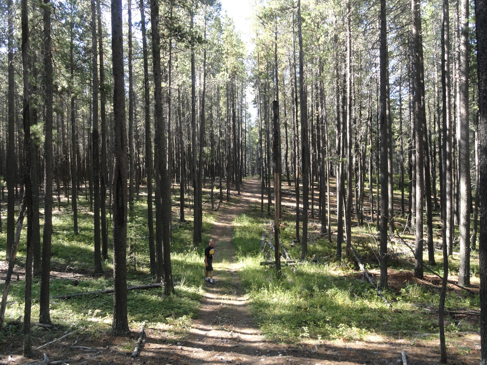 Restless Prairie Girl A Weekend In The Beautiful Cypress Hills