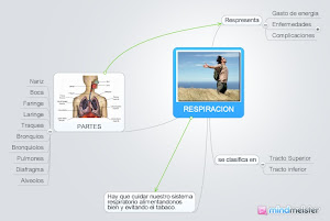 Mapa mental de respiración