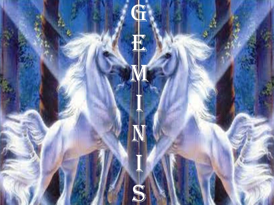 Geminis [1993– ]