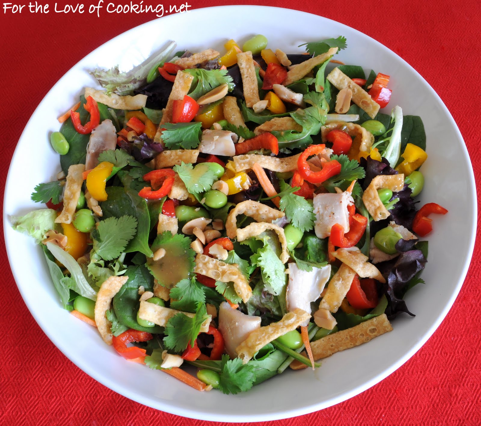 Thai Chicken Salad | For the Love of Cooking