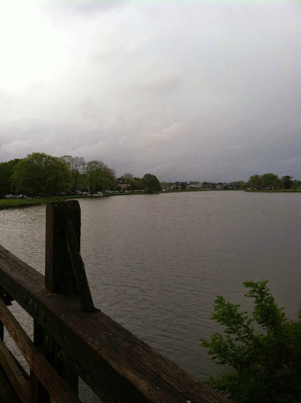 Barking Mad About Running Spring Lake Five