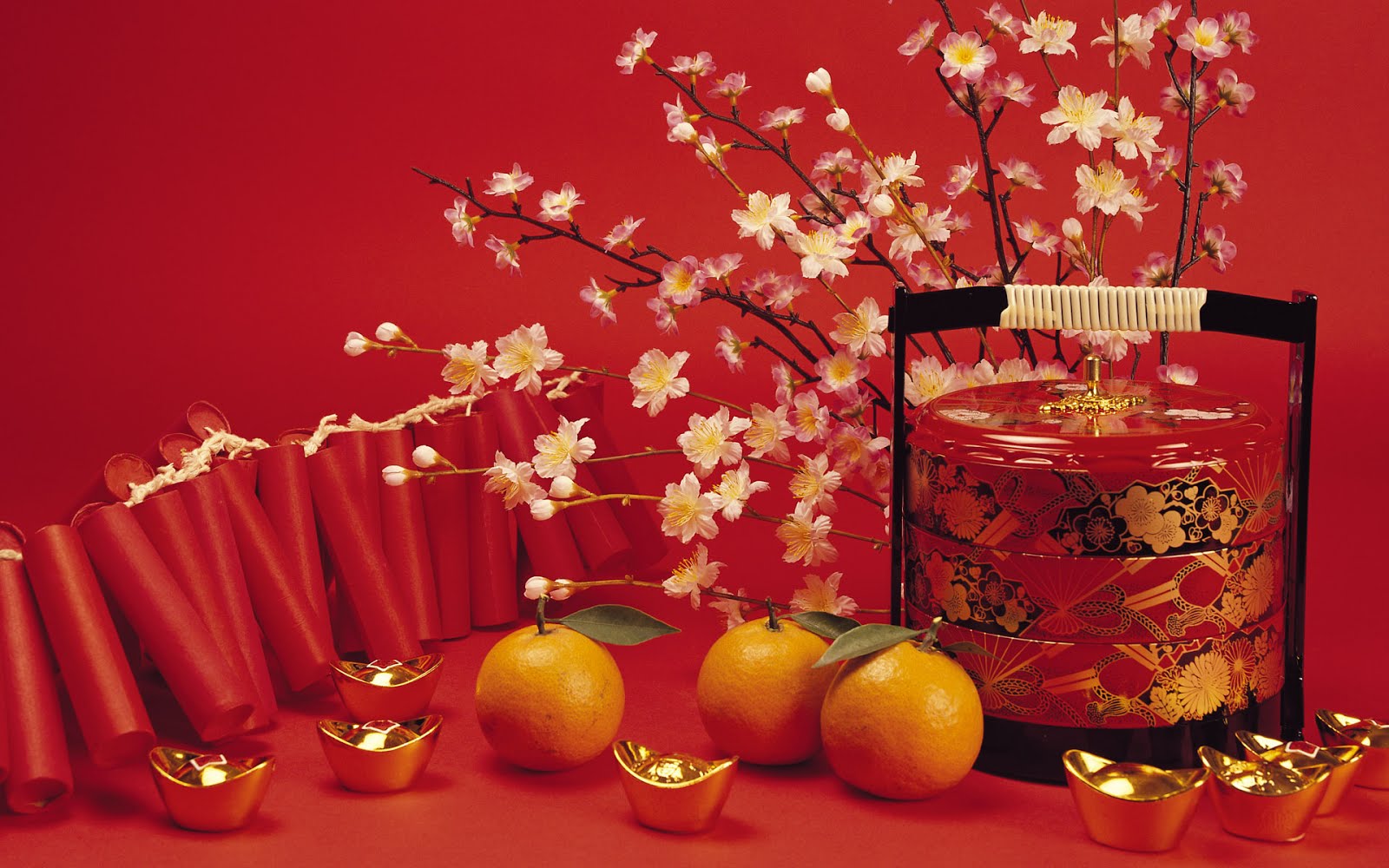 http://4.bp.blogspot.com/-Fcpggt6a5Xk/UPO87JnKoLI/AAAAAAAABDk/OH4HLJl-Hxg/s1600/chinese%252520new%252520year%2525202009%252520breedbeeld%252520wallpapers%25252021.jpg