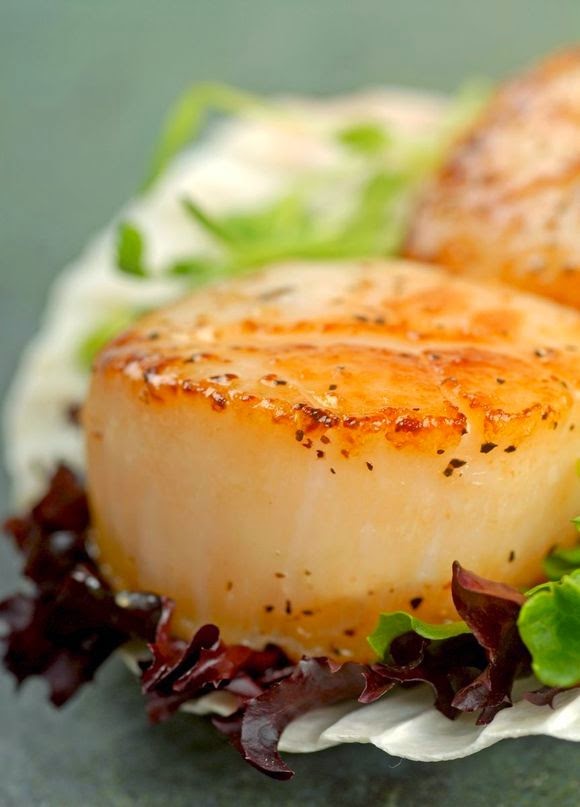 PanSeared Scallops with Herb Butter Sauce Cooking is Crazy