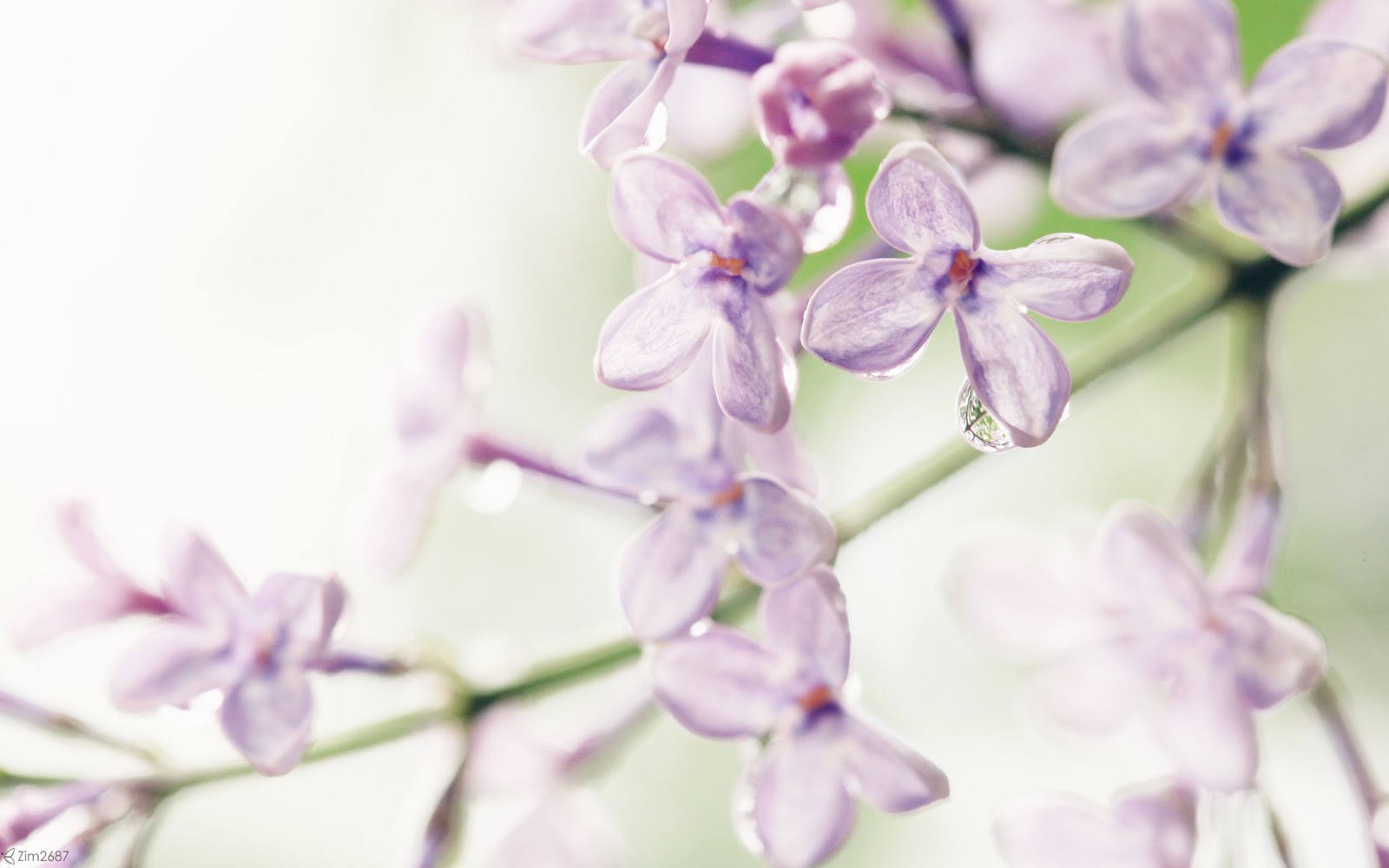 Free Latest Full HD Quality Desktop Wallpapers: Download Beautiful