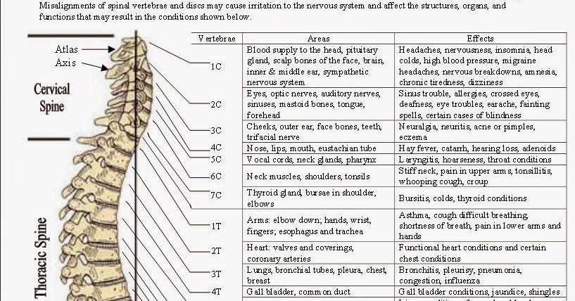 Cancer: Natural Therapies and Cures: How Spinal Misalignment Has a