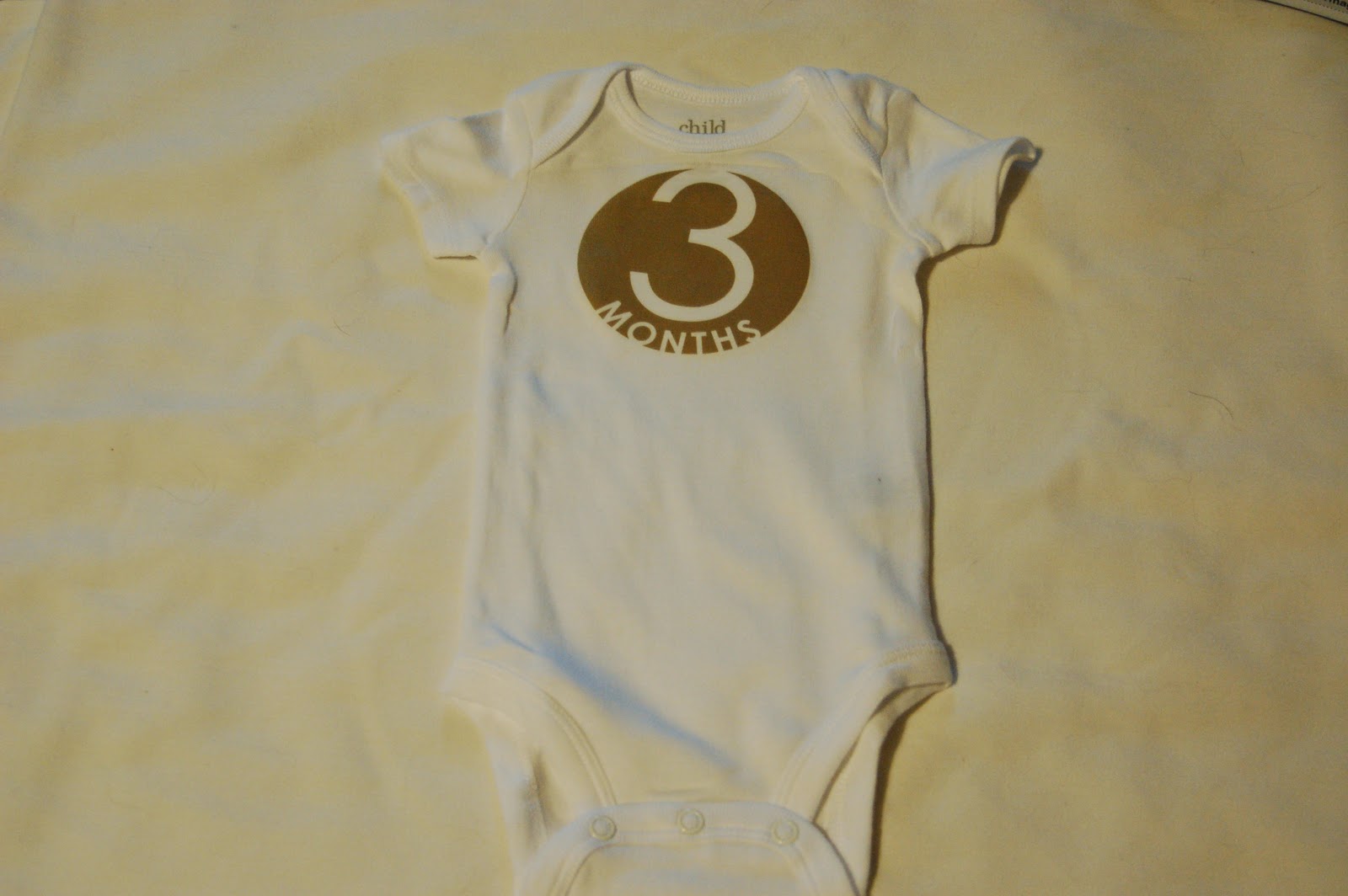 Sweet Seasons of Life FIRST YEAR BABY ONESIES