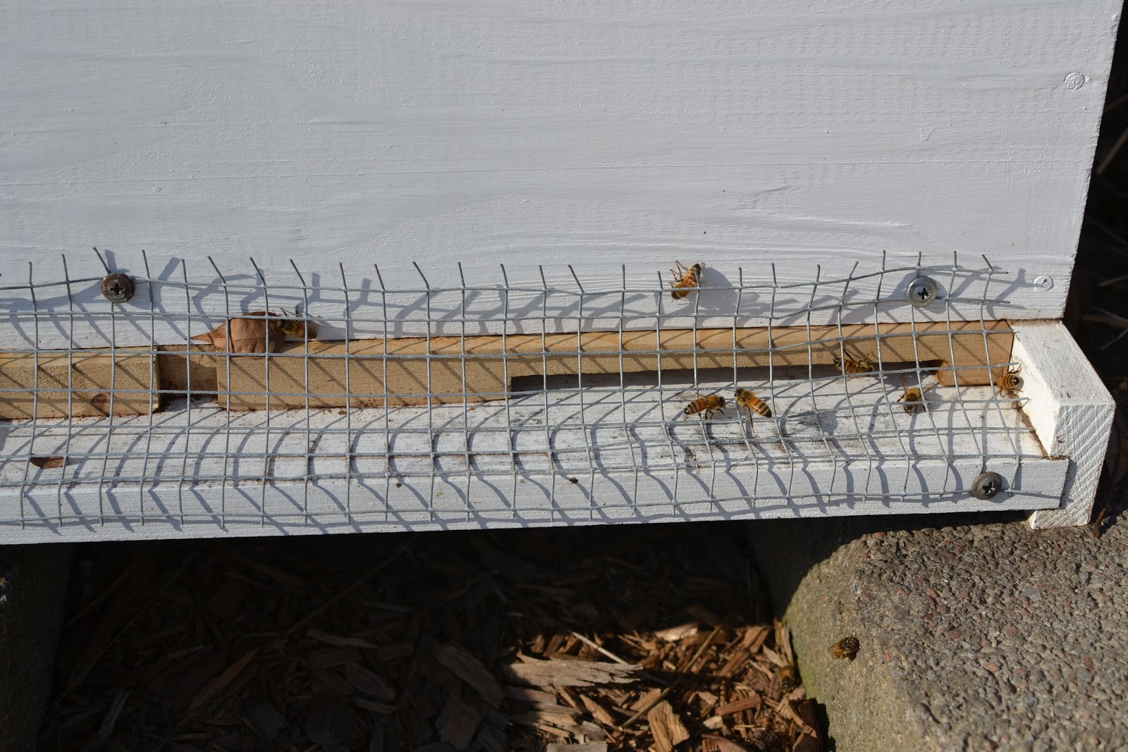 Our Neck of the Woods Prepare Your Beehive For Winter In 4 Steps