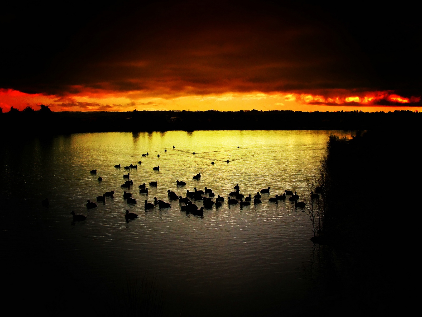 http://4.bp.blogspot.com/-Ff5tPlI9Ql0/TaKEC1ib5YI/AAAAAAAAANM/YG8X9OINmN8/s1600/nature_0006.jpg