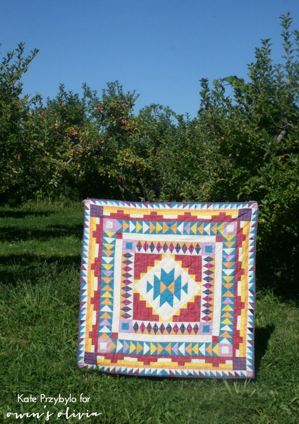 owen's olivia Desert Blooms Medallion variations Quilting from