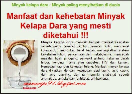 diary eija khasiat minyak kelapa dara bio rich diary eija khasiat minyak kelapa dara bio rich