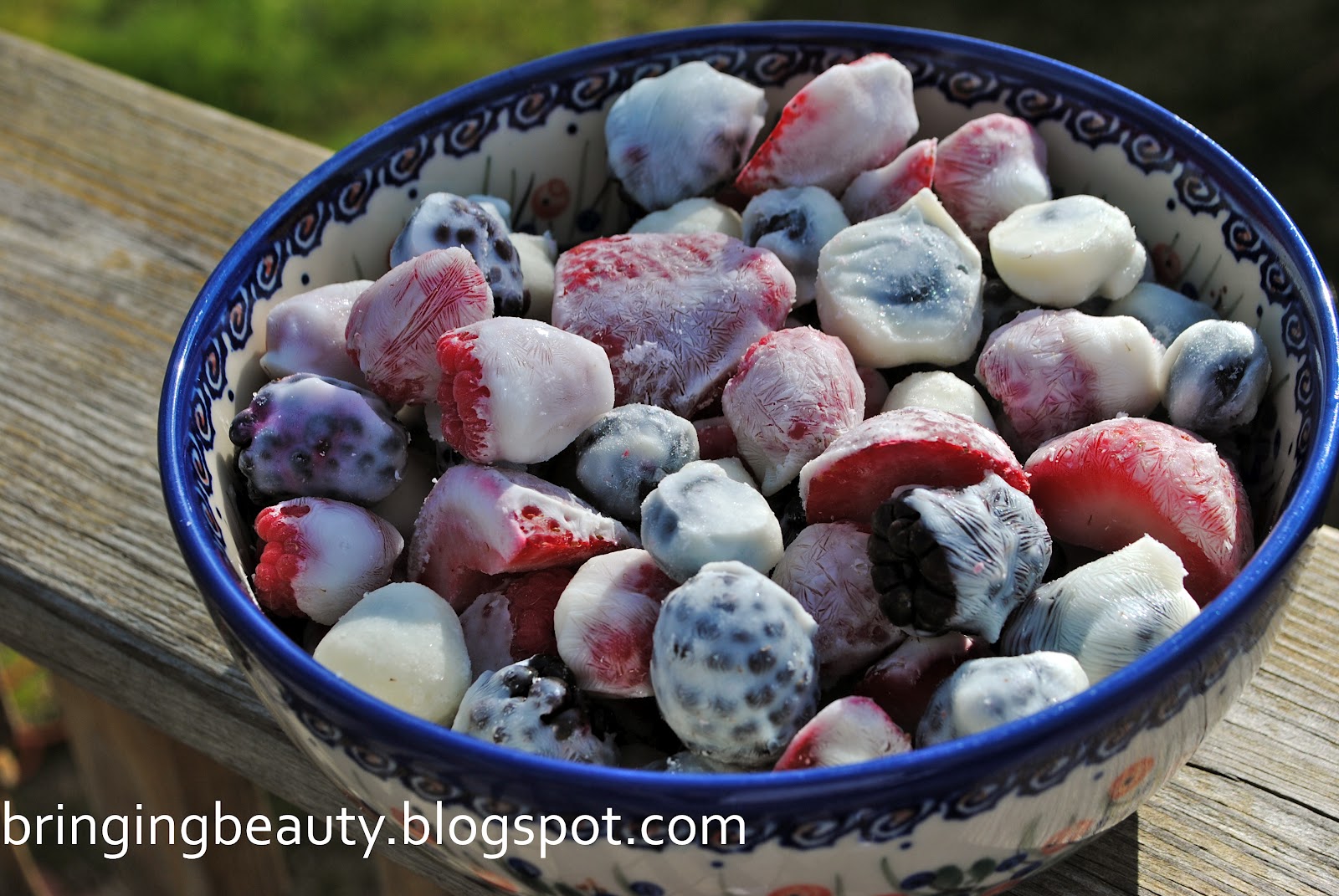 Bringing Beauty Frozen Yogurt Berries