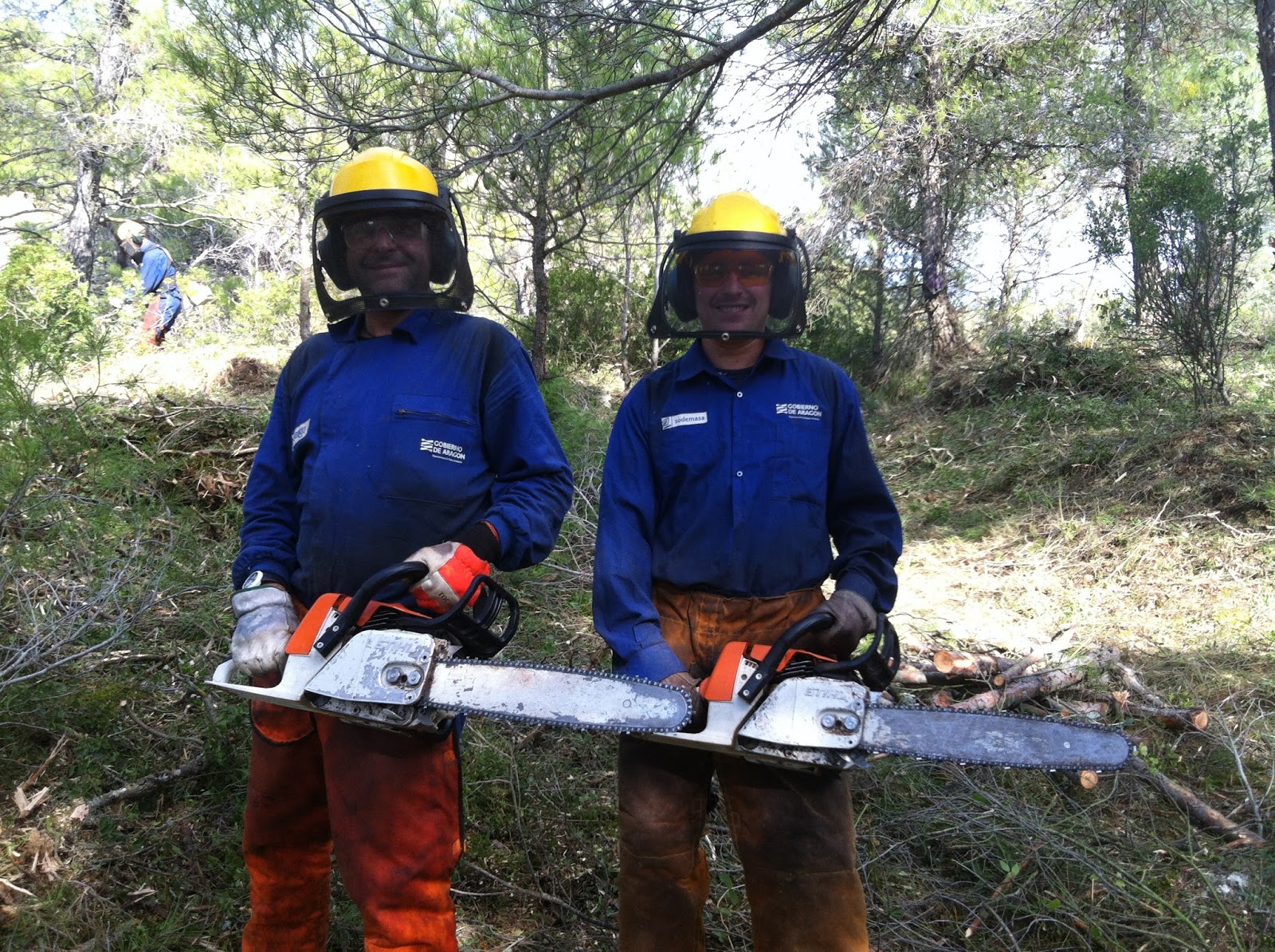 SECCIÓN SINDICAL CSIF SARGA MANUAL DE LA CADENA DE LA MOTOSIERRA