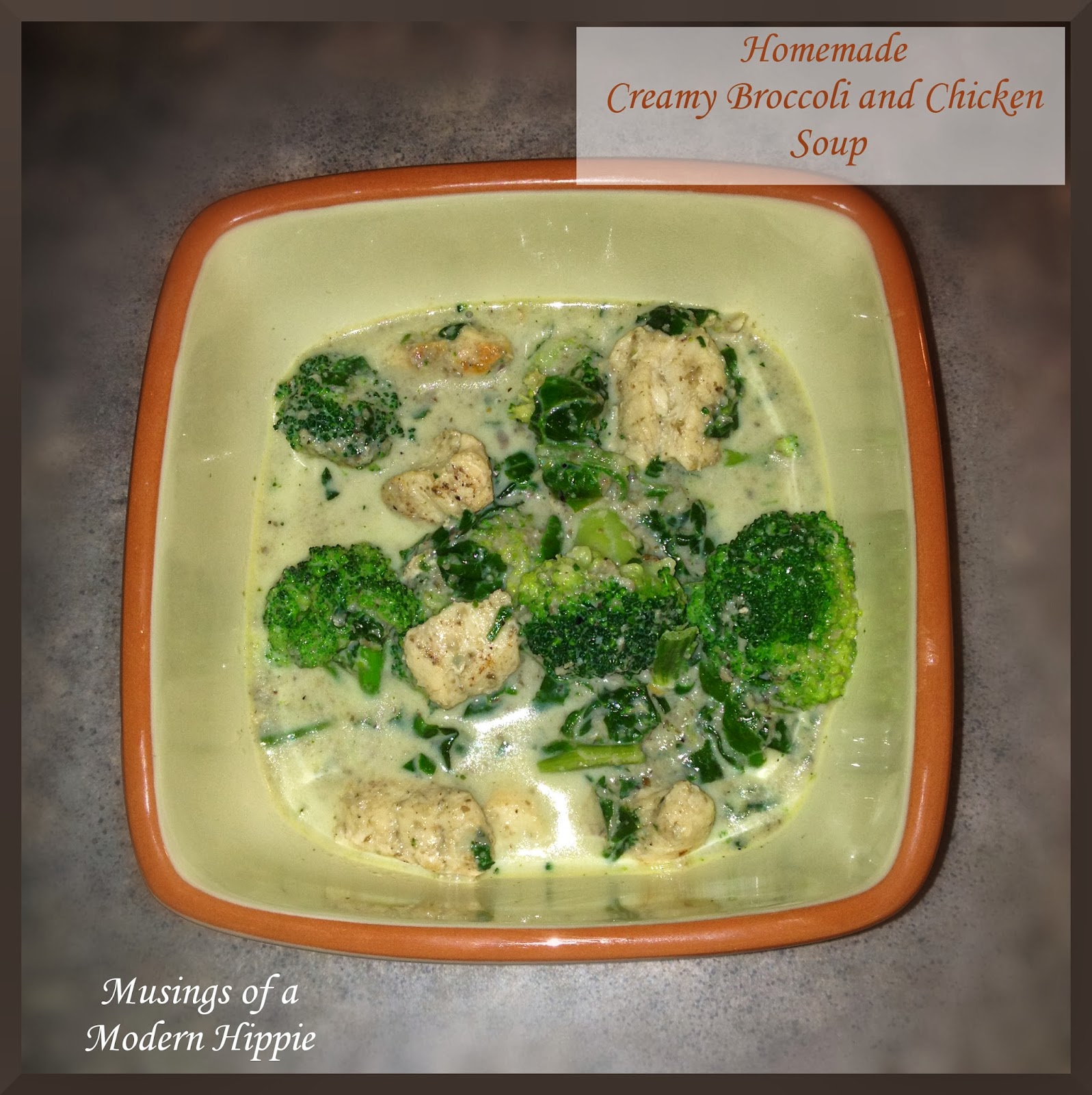 Homemade Creamy Broccoli and Chicken Soup
