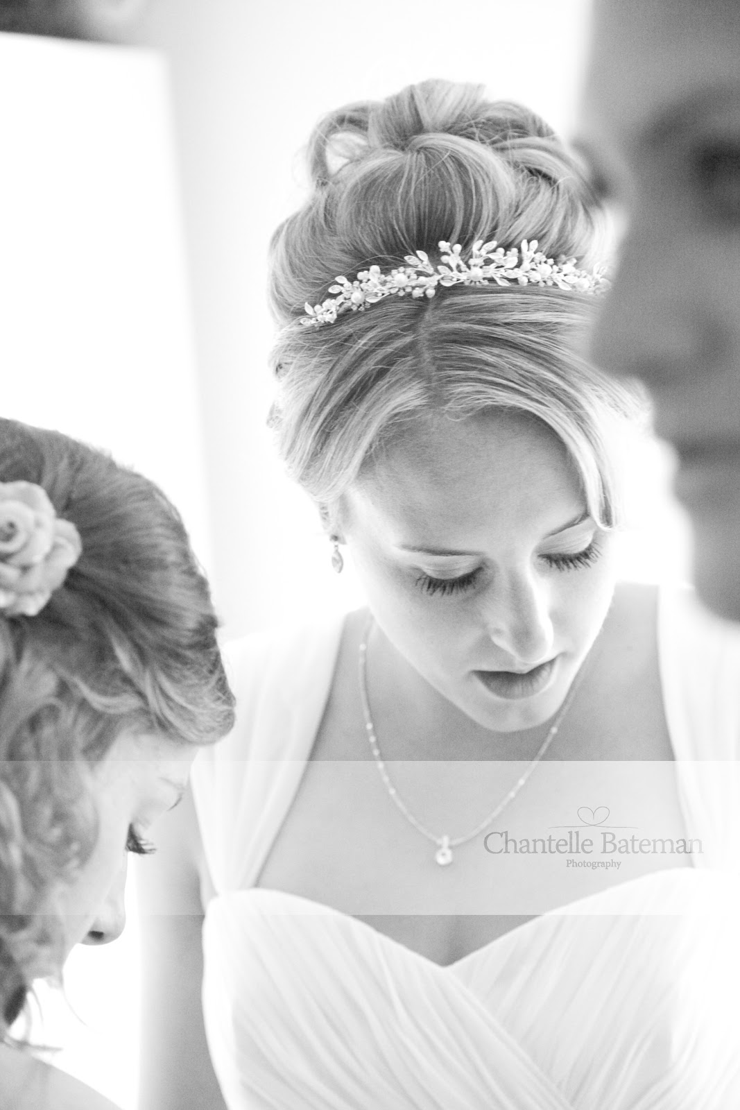 Wedding Hair And Makeup Watford brown hair and make up wedding hair and makeup Wedding Hair And Makeup Watford brown hair and make up wedding hair and makeup