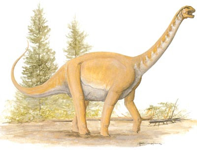 Barapasaurus