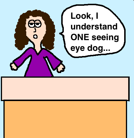 Dog Eye Doctor Olympia Wa Dog Eye Doctor Olympia Wa