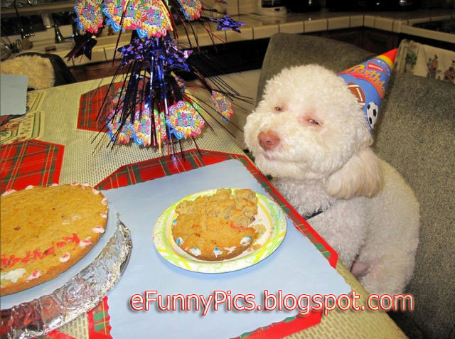 Delicious Birthday Cake