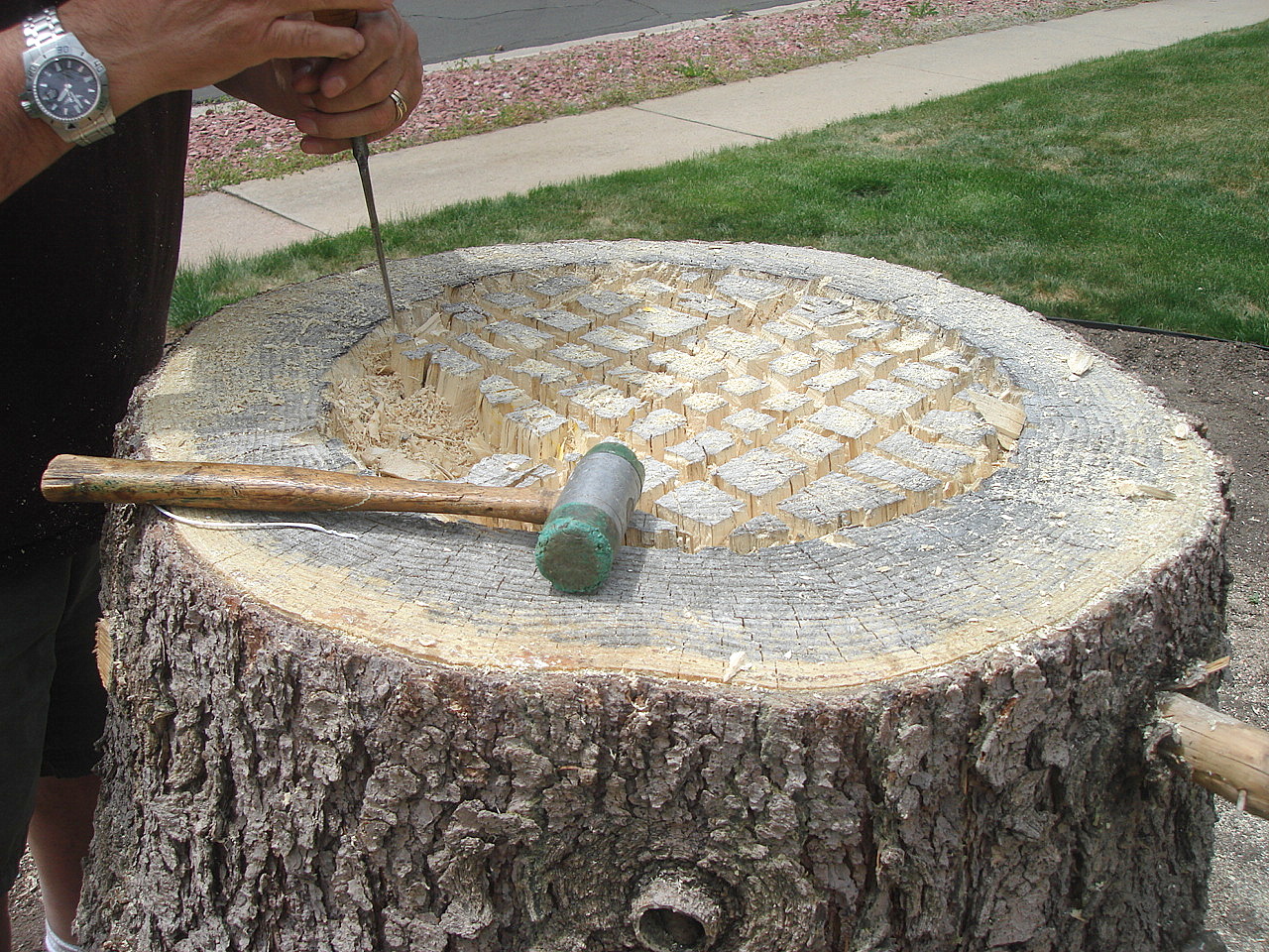 Louise Sanchez / Herbs Crafts Gifts How we hollowed out a stump