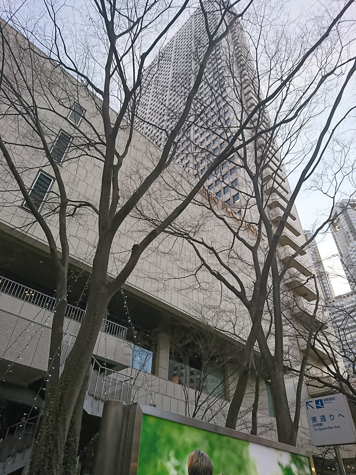 八木東一のブログ 2 8 新宿駅から西新宿中央通り地下道を西に歩いた 空が吹き抜けのところに来ると京王プラザホテルがあった