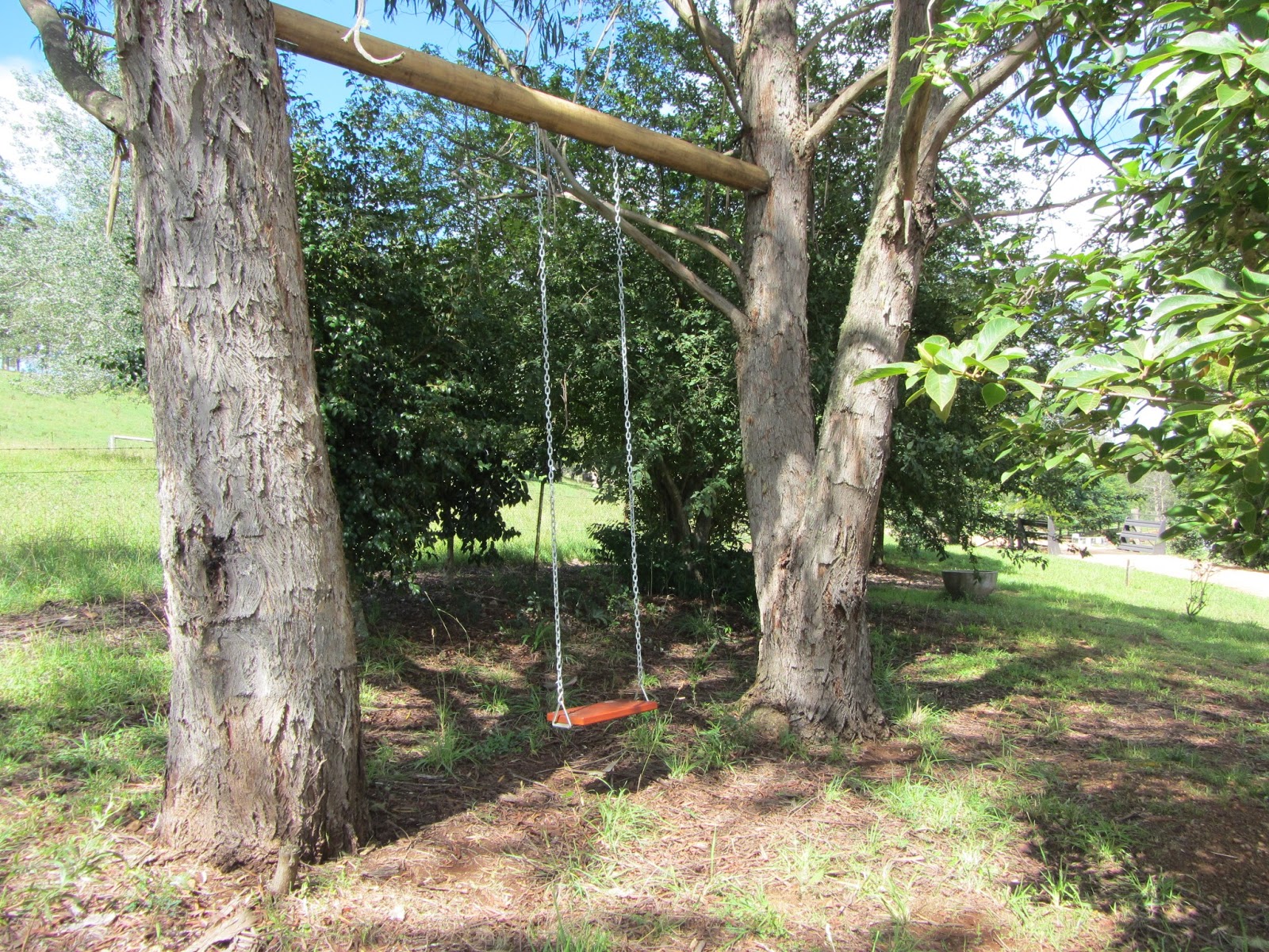 Outdoor natural swinging opportunities