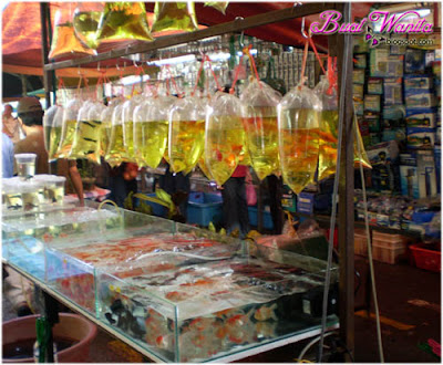 Tempat Menarik dan Best di Kuching Sarawak, Pasar Satok