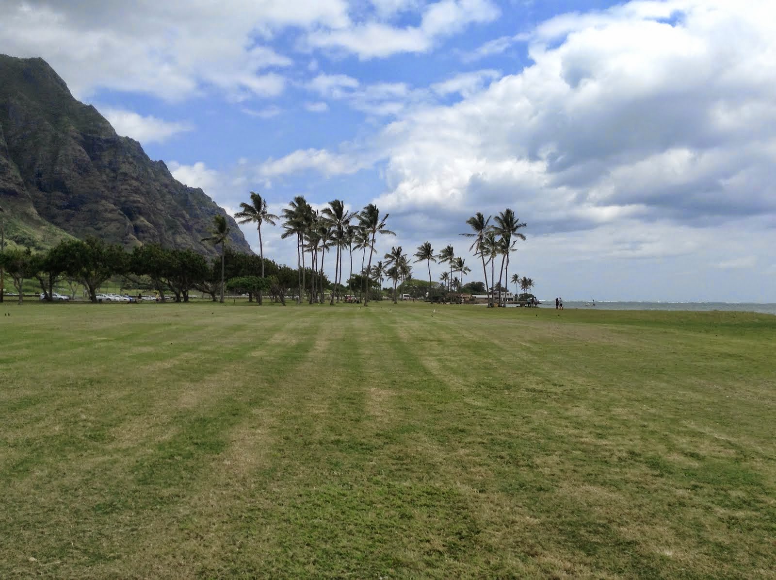 THE FABULOUS NORTH SHORE OF HAWAII!