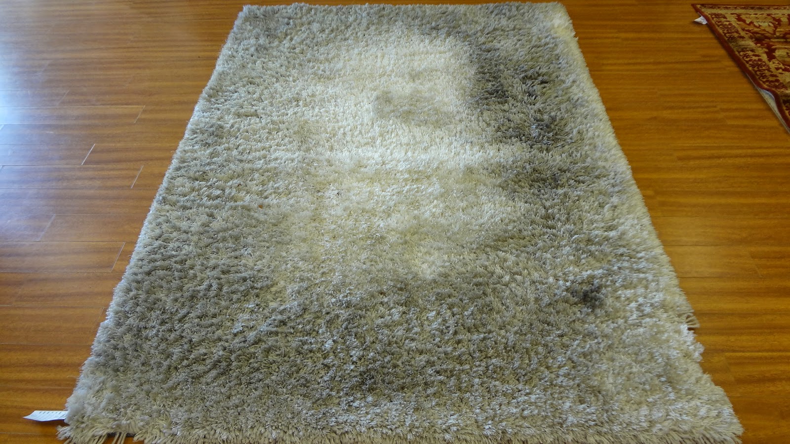 Rug Master Shag Rug, Shag Carpet Cleaning in Los Angeles