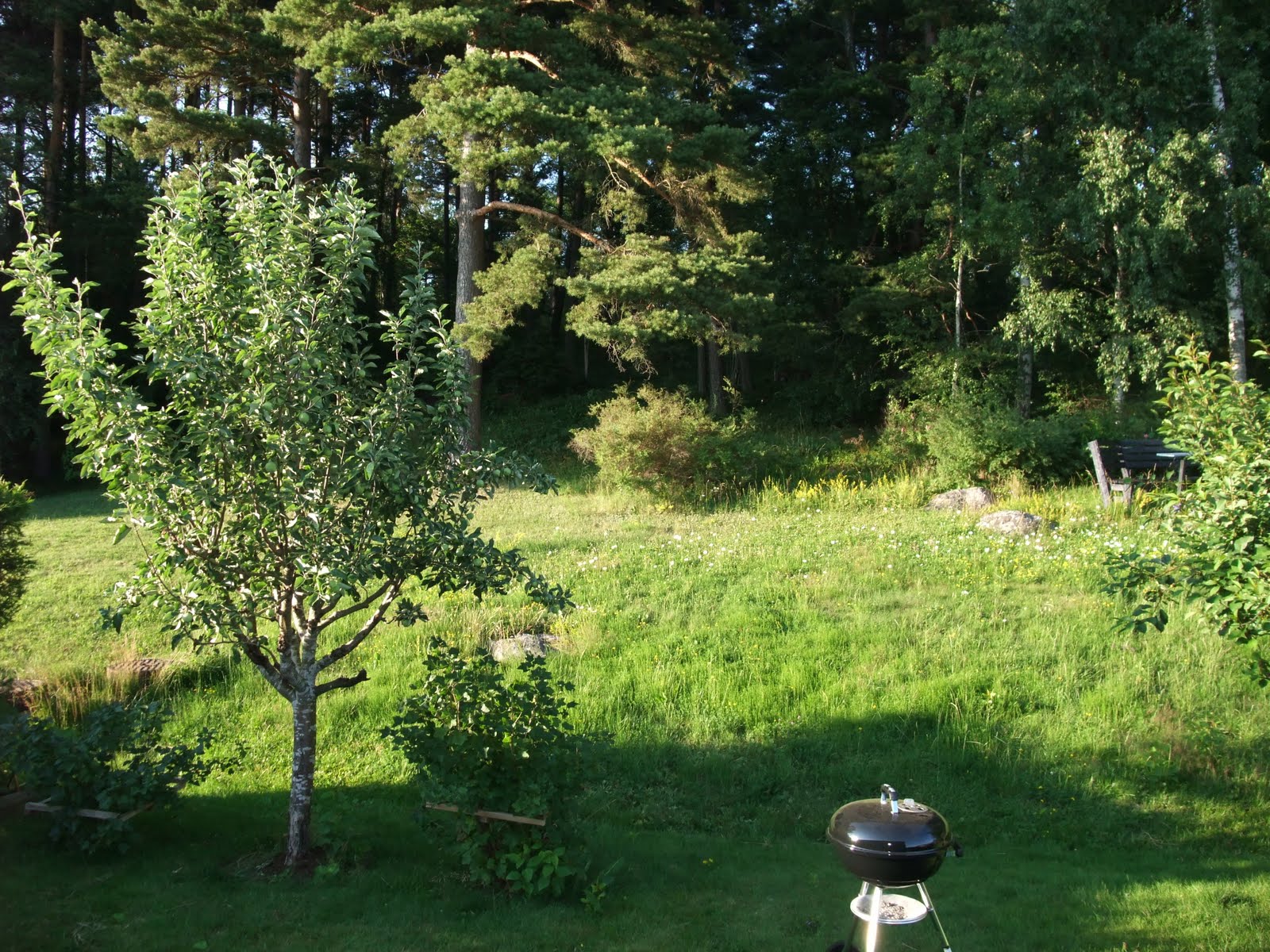 Liet: tapetsera sovrum