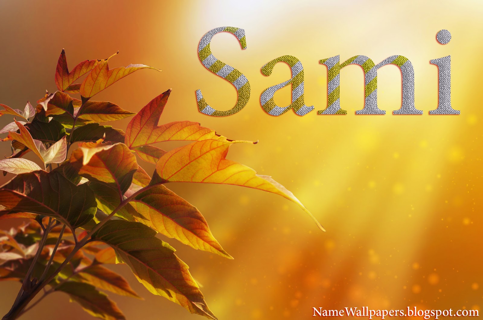 Sami Name Wallpapers Sami Name Wallpaper Urdu Name Meaning Name