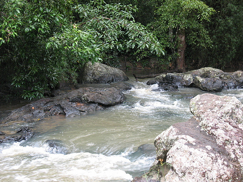 Coorg Tourism Photos