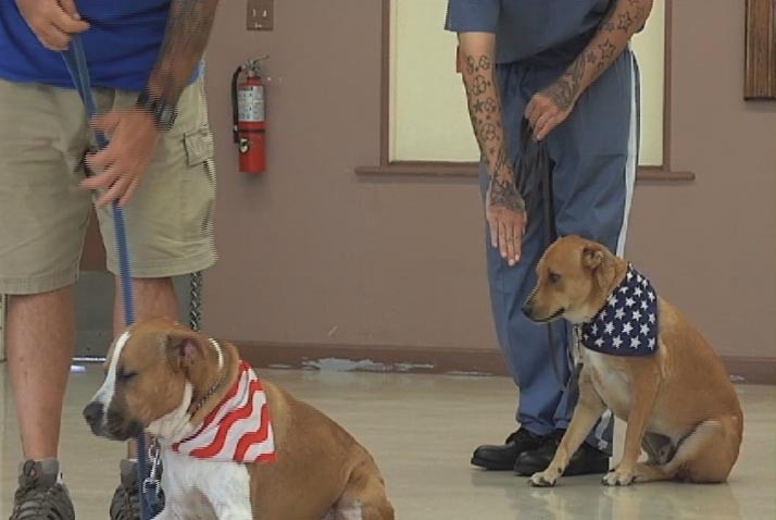 What Kind Of Inmates Train Service Dogs What Kind Of Inmates Train Service Dogs