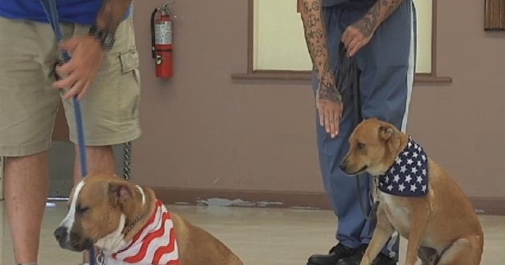 What Kind Of Inmates Train Service Dogs What Kind Of Inmates Train Service Dogs