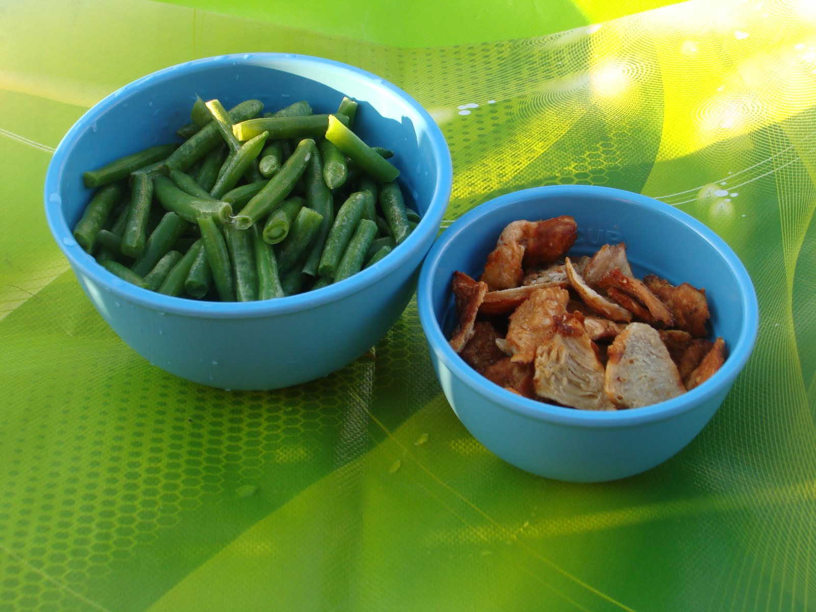 Green Bean Chicken Dream Dehydrator Dog Treat Recipe Kol's Notes