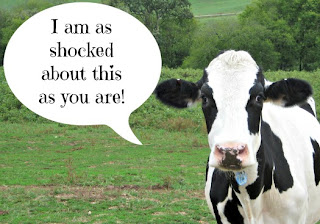 cow+is+shocked.jpg