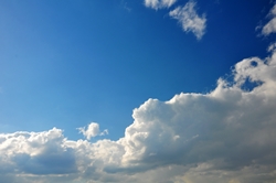 Blau... Blau...