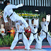 Foto Suguhan Demonstrasi Taekwondo Pada Resepsi Pernikahan